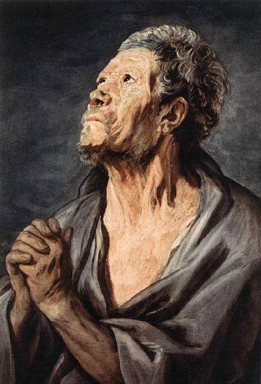 JORDAENS, Jacob An Apostle oil painting image